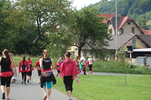 Obrázek v galerii